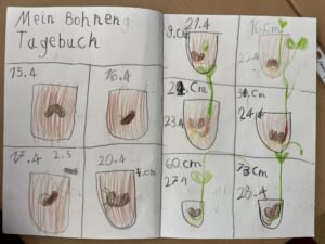 Bohnentagebuch